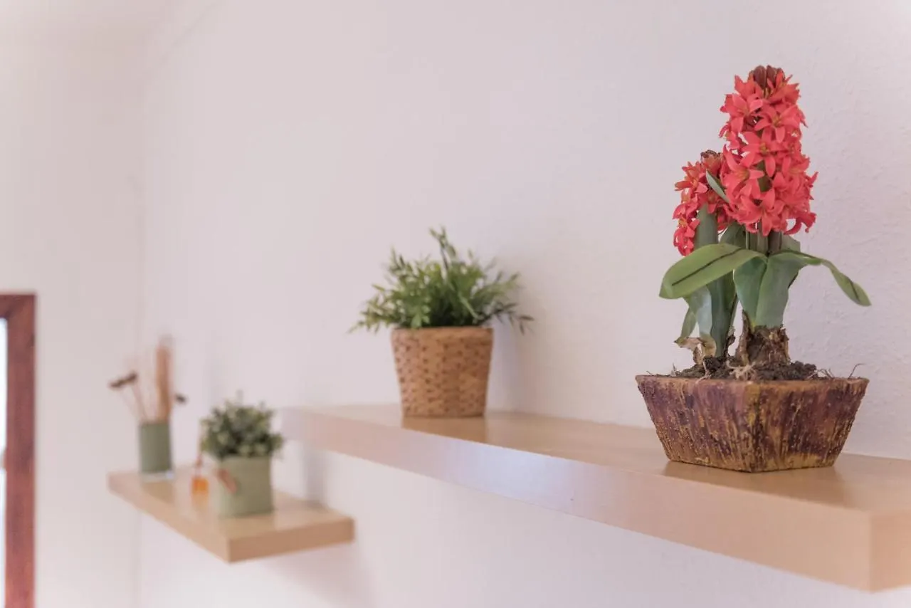 Sweet Bcn Studio With Terrace Barcelona